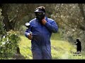 Paintball Vila de Cano - Alto Alentejo Portugal Paintball Vila de Cano - Alto Alentejo Portugal