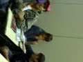 delta pic�o