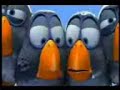 birds العصافير oiseaux fanny مضحك