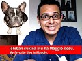 GABM Japanese Lessons-5: Your Favorite Things!