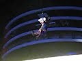 arriv�e de mickey et feu d'artifice...