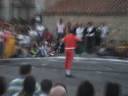 Fiestas Martiherrero 2008