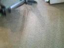 Cleaning Pet Stains