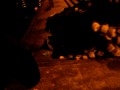 Escualos Guanakrs2.MP4
