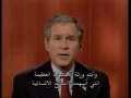 Bush Gay Bar Bush Gay Bar