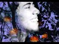 Lila Downs - La Llorona