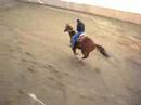 josie et streaky classe aller retour josie et streaky classe aller retour