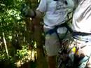 Canopy Tour