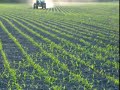 maize 2009-spreading fertilizer.