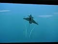 EF-2000 Typhoon (in amazing dogfight!)