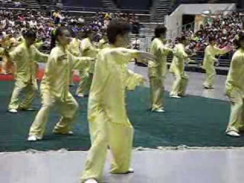 2009新加坡第八届全国武术观摩会~新加坡陈式太极拳
