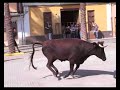 toros paiporta oct 07
