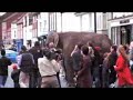 Elephant Visits Yarm Elephant Visits Yarm