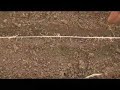 How to Plant Seeds