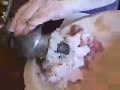minute gefilte fish