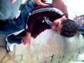 mi amigo canta y baila