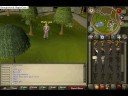 Emote party