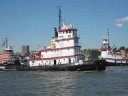 Tug Boat Races Tug Boat Races