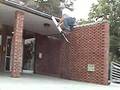 Pogo Video