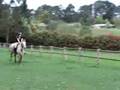 riding my horse