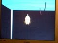 rays-retro-review-seaman-part-4.html