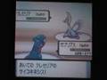 ポケットモンスターパールバトルタワー戦 vsクロツグ(49人目、本気)