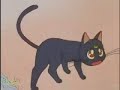 Sailor Moon Classic Ep. 8 (1/3) [Portugal]