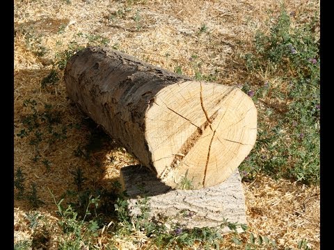 Turning a Large Walnut Bowl in HD - Woodturning - 40 Min How-to Video