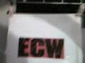 my own wrestling ring