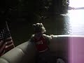 Floating Schnauzer Floating Schnauzer