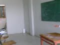 ensayo de cicatrices