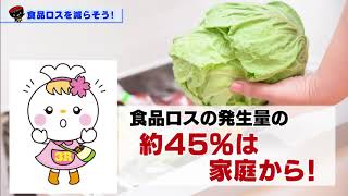 【第37回】食品ロスを減らそう！～まだ食べられるのに捨てるなんて“もったいない”～