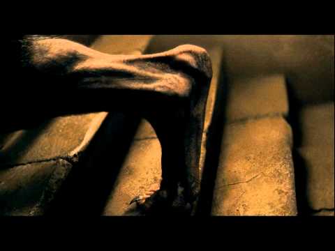wolfman - Academy Award winners Anthony Hopkins (The Silence of the Lambs) and Benicio Del Toro (Traffic) tear up the screen in this action-packed thriller. Lawrence T...