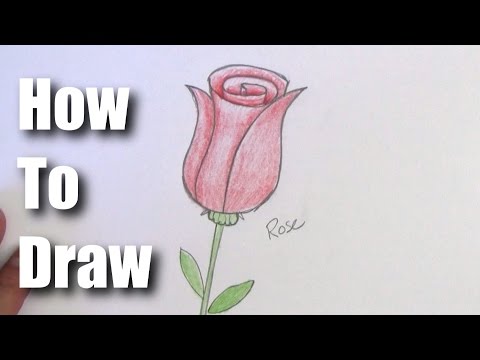 How To Draw a Rose – EASY!