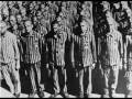 Gay Sex Crime Holocaust
