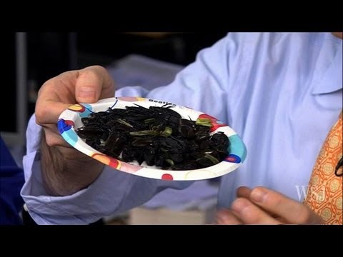 Eating Crickets, Beetles, Grubs and Other Bugs