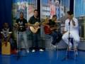 videos de Harmonia do Samba no Bahia Meio Dia