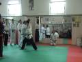 videos de video tecniche alfredo  parte 1