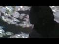 Bobby Oddo DVD Teaser