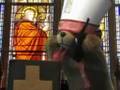 Bible bear - Ringtones for Jesus!