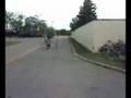 John fetches frames (video) - September 27, 2008, 11:12 AM