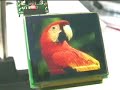 4D Systems uOLED Display demo