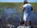 Lake Okeechobee Bass Fishing