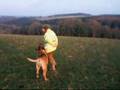 Boerboel video