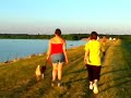 Swallows Attack Vulture & Super Obese Fat Huge Woman