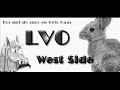 LVO Beweging - Vleermuistoepet