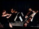 videos de ArmadilloStrings