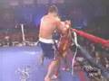 muay thai box