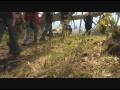 Maui Zipline Tour