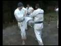 gimnasio koun entrenamiento kyokushinkai en rives de freser